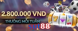 sut88