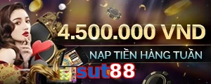 sut88