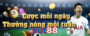 sut88